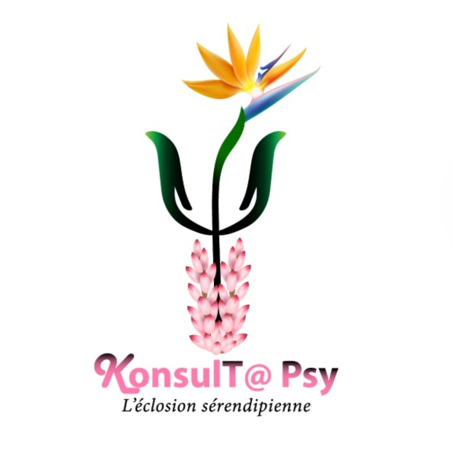 Logo officiel KonsulT@ Psy, L’éclosion sérendipienne